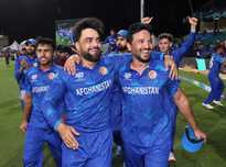 经历了高光 经历了高光