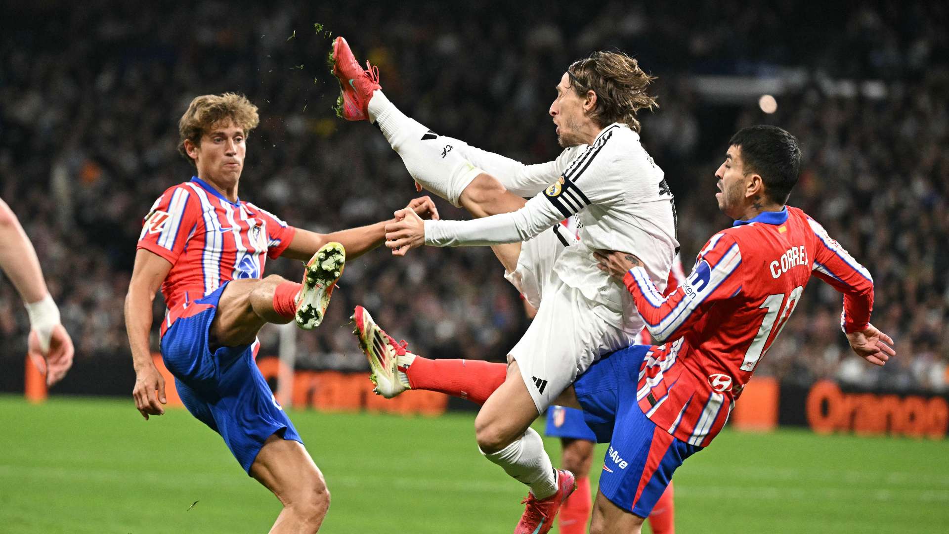 精神焕发出 精神焕发出